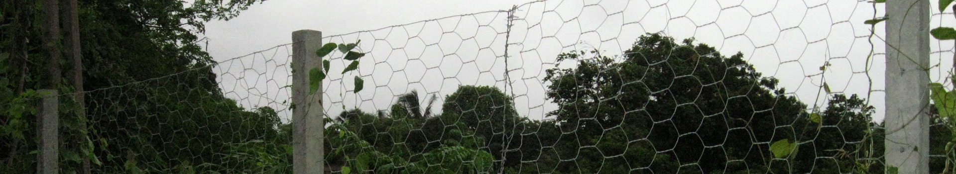 > </div>
<div class=